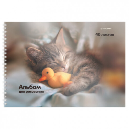 Альбом для рисования, пластиковая обложка, А4, 40 л., гребень, BRAUBERG, 210х297 мм, АССОРТИ-1 (8 видов), 107682
