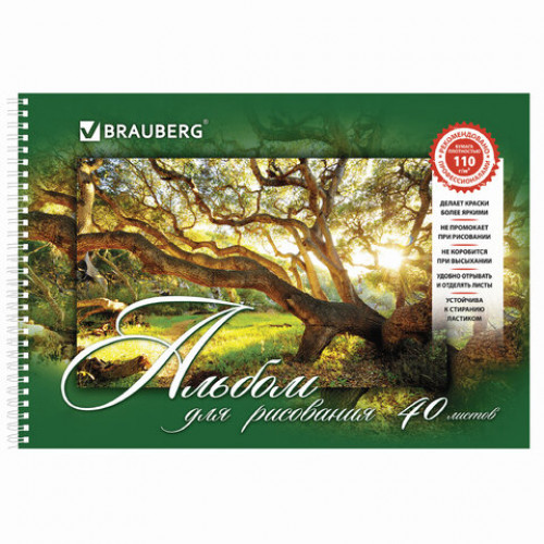 Альбомы для рисования А4 40 л., КОМПЛЕКТ 4 шт., гребень, обложка картон, BRAUBERG, 205х290 мм, Природа (2 вида), 880035