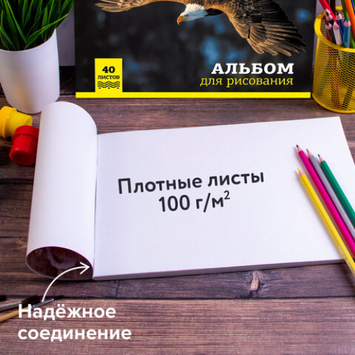 Альбомы для рисования А4 40 л., КОМПЛЕКТ 4 шт., скоба, обложка картон, BRAUBERG, 200х283 мм, Дикие (2 вида), 880039