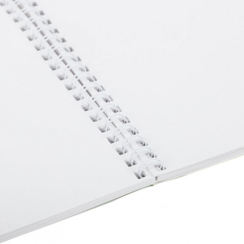 Альбом для рисования, пластиковая обложка, А4, 40 л., гребень, BRAUBERG, 210х297 мм, АССОРТИ-2 (8 видов), 107683