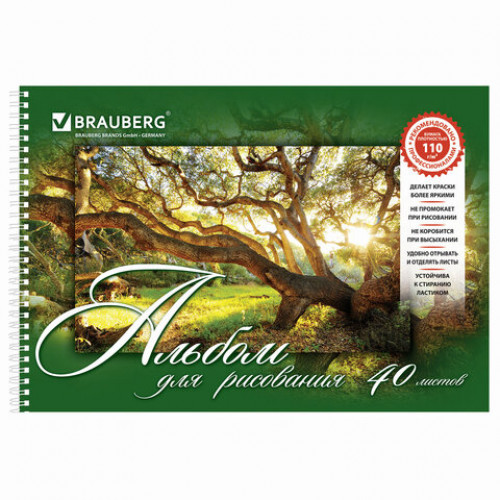 Альбомы для рисования А4 40 л., КОМПЛЕКТ 2 шт., гребень, обложка картон, BRAUBERG, 205х290 мм, Природа (2 вида), 880031