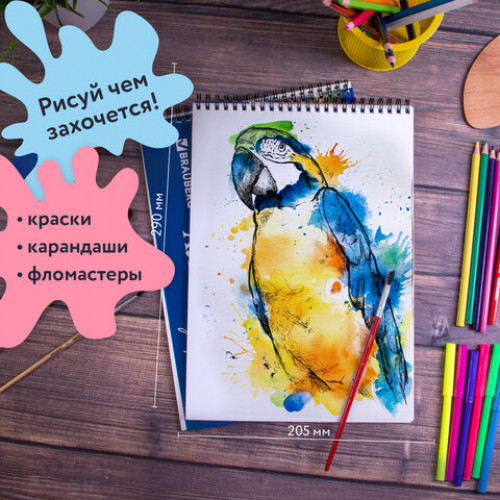 Альбомы для рисования А4 40 л., КОМПЛЕКТ 2 шт., гребень, обложка картон, BRAUBERG, 205х290 мм, Природа (2 вида), 880031