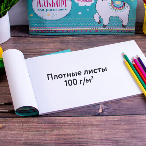 Альбомы для рисования А4 40 л., КОМПЛЕКТ 2 шт., скоба, обложка картон, ЮНЛАНДИЯ, 202х285 мм, Ламы, 880043