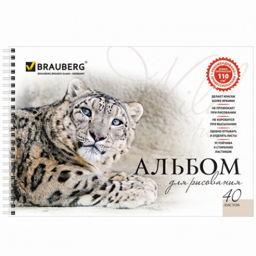 Альбомы для рисования А4 40 л., КОМПЛЕКТ 4 шт., гребень, обложка картон, BRAUBERG, 205х290 мм, Хищники (2 вида), 880032