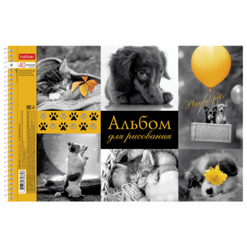 Альбом для рисования А4 40 л., спираль, тиснение, HATBER, 205х300 мм, Прикосновение цвета, 40А4Всп