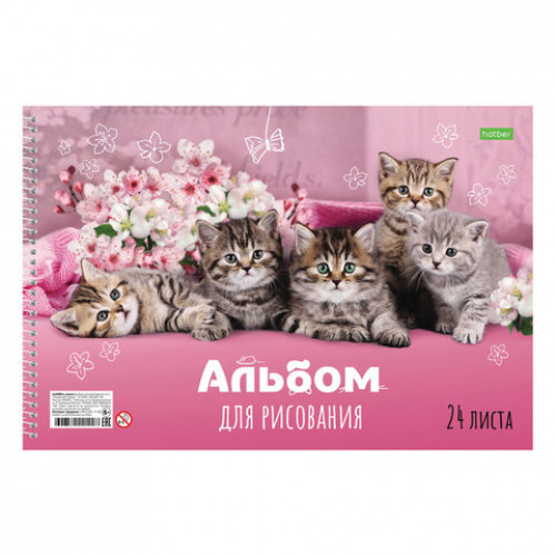 Альбом для рисования, А4, 24 листа, спираль, обложка картон, HATBER ECO, 205х300 мм, Ассорти (5 видов), 24А4Cсп