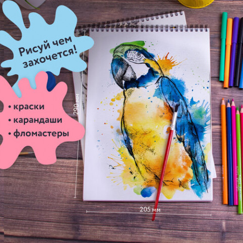 Альбомы для рисования А4 40 л., КОМПЛЕКТ 2 шт., гребень, обложка картон, BRAUBERG, 205х290 мм, Хищники (2 вида), 880028