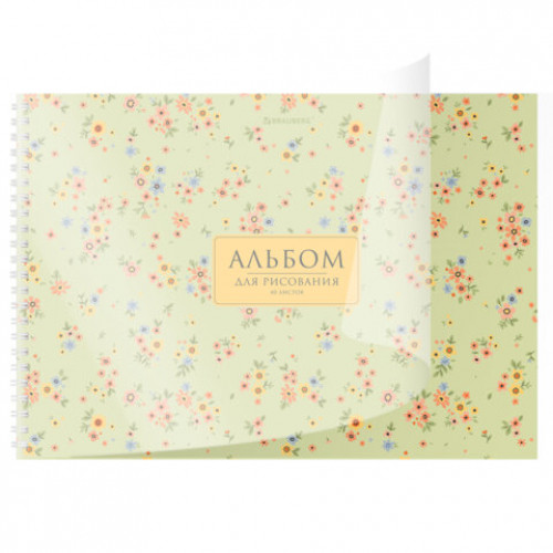 Альбом для рисования, пластиковая обложка, А4, 40 л., гребень, BRAUBERG, 210х297 мм, АССОРТИ-2 (8 видов), 107683