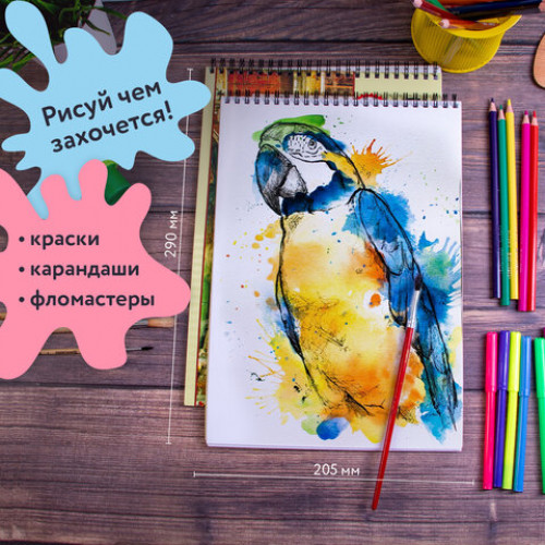 Альбомы для рисования А4 40 л., КОМПЛЕКТ 2 шт., гребень, обложка картон, BRAUBERG, 205х290 мм, Город (2 вида), 880029