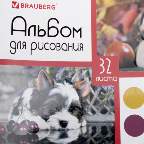 Альбом для рисования А4, 32 листа, гребень, выборочный лак, BRAUBERG, 205х290 мм, Собачки (1 вид), 105081