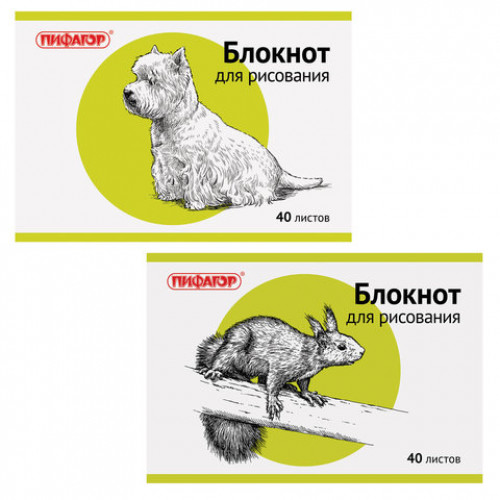 Блокнот для рисования, А4, 40 л., скоба, обложка офсет, горизонтальный, ПИФАГОР, 200х285 мм, Животные, 2 вида, 104875
