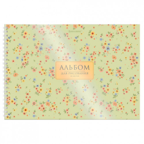 Альбом для рисования, пластиковая обложка, А4, 40 л., гребень, BRAUBERG, 210х297 мм, АССОРТИ-2 (8 видов), 107683
