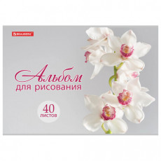 Альбом для рисования А4 40 л., скоба, блестки, BRAUBERG, 202х285 мм, Прекрасные цветы (1 вид), 105616 Альбом для рисования А4 40 л., скоба, блестки, BRAUBERG, 202х285 мм, Прекрасные цветы (1 вид), 105616