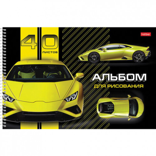 Альбом для рисования А4 40 л., спираль, матовая ламинация, HATBER, 205х290 мм, Авто (4 в спайке), 40А4лвлВсп