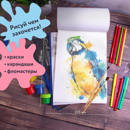 Альбомы для рисования А4 40 л., КОМПЛЕКТ 4 шт., скоба, обложка картон, BRAUBERG, 200х283 мм, Кони (2 вида), 880037