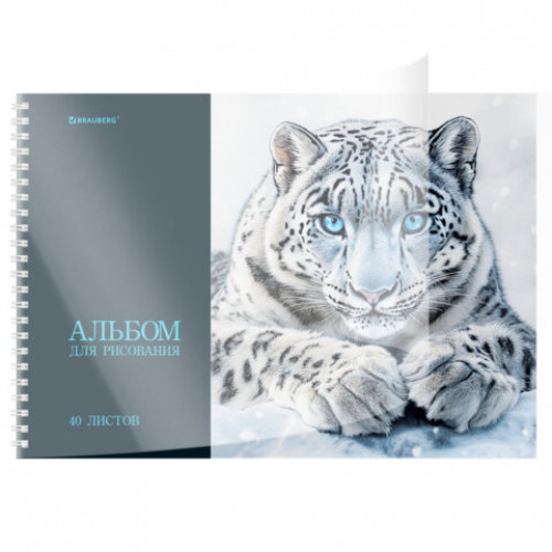 Альбом для рисования, пластиковая обложка, А4, 40 л., гребень, BRAUBERG, 210х297 мм, АССОРТИ-1 (8 видов), 107682