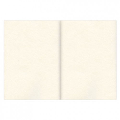 Скетчбук, слоновая кость 100 г/м2, 210х297 мм, 120 л., прошивка, BRAUBERG ART CLASSIC, 128960