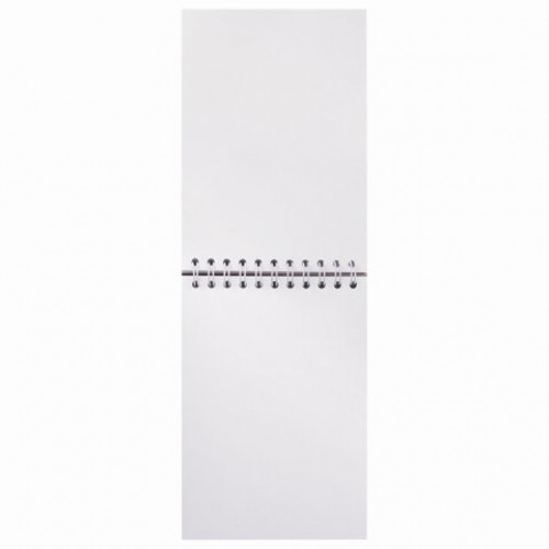 Скетчбук, белая бумага 100 г/м2, 105х148 мм, 60 л., гребень, жёсткая подложка, BRAUBERG ART DEBUT, 110997