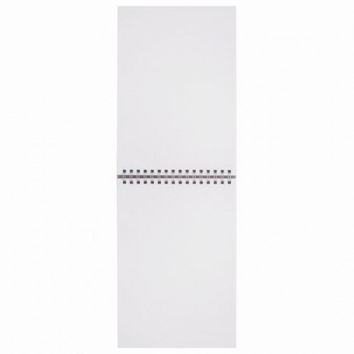 Скетчбук, белая бумага 160 г/м2, 145х205 мм, 30 л., гребень, жёсткая подложка, BRAUBERG ART DEBUT, 110989