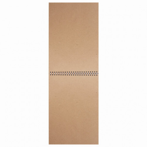 Скетчбук, крафт-бумага 80 г/м2, 205х290 мм, 50 л., гребень, жёсткая подложка, BRAUBERG ART DEBUT, 110982