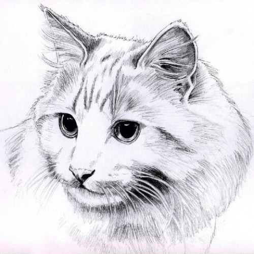 Альбом для рисования, ватман ГОЗНАК 200 г/м2 200х198 мм, 60 л., склейка, BRAUBERG ART CLASSIC, 105909