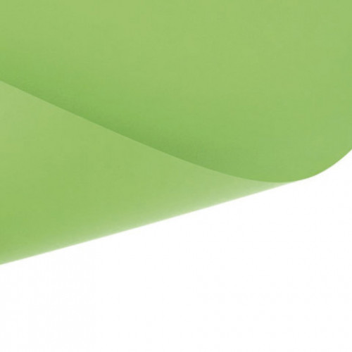 Бумага (картон) для творчества (1 лист) SADIPAL Sirio А2+ (500х650 мм), 240 г/м2, светло-зеленый, 7879