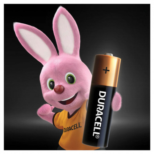 Батарейки КОМПЛЕКТ 4 шт., DURACELL Basic, AA (LR06, 15А), алкалиновые, пальчиковые, блистер, MN 1500 АА LR6