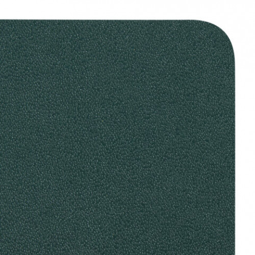 Блокнот МАЛЫЙ ФОРМАТ (96х140 мм) А6, BRAUBERG ULTRA, балакрон, 80 г/м2, 96 л., клетка, темно-зеленый, 113055