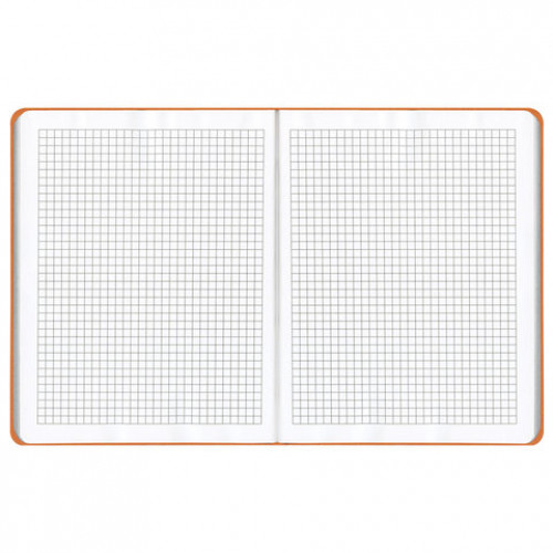 Тетрадь А5 (175x215 мм), BRAUBERG NEBRASKA, 120 л., гибкая, под кожу, ручка, клетка, оранжевый, 110956