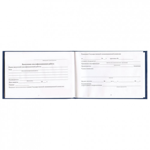 Бланк документа Зачетная книжка для ВУЗа, 101х138 мм, STAFF, 129141