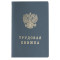 Бланк документа Трудовая книжка, 88х125 мм, ГОЗНАК
