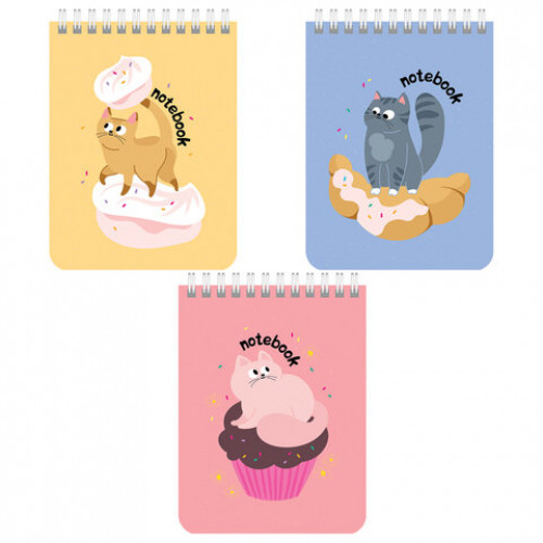 Блокнот МАЛЫЙ ФОРМАТ (108х145 мм) А6, 40 л., гребень, картон, клетка, BRAUBERG KIDS, Котики, 114396