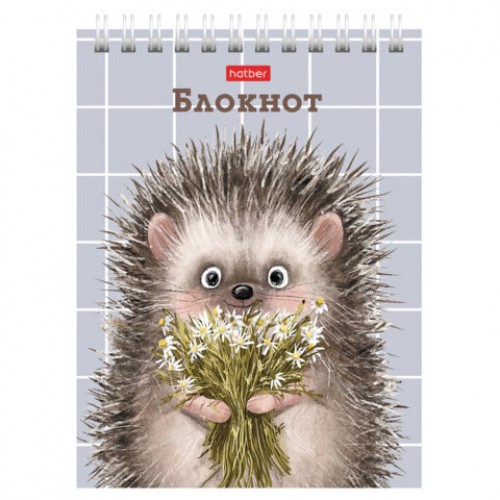 Блокнот МАЛЫЙ ФОРМАТ А6, 40 л., гребень, картон, клетка, HATBER, Хорошо быть ёжиком, 080472, 40Б6В1гр