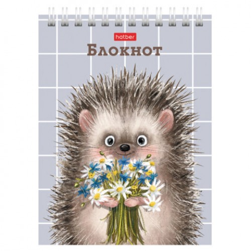 Блокнот МАЛЫЙ ФОРМАТ А6, 40 л., гребень, картон, клетка, HATBER, Хорошо быть ёжиком, 080472, 40Б6В1гр
