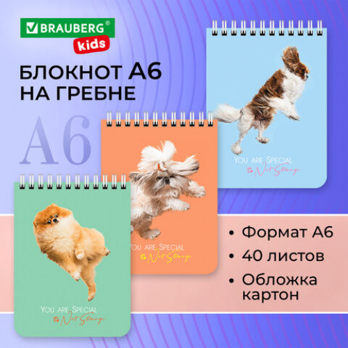 Блокнот МАЛЫЙ ФОРМАТ (108х145 мм) А6, 40 л., гребень, картон, клетка, BRAUBERG KIDS, Собачки, 114394