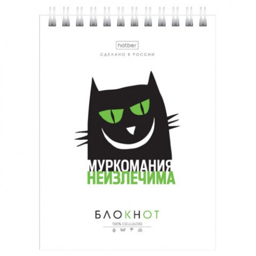 Блокнот МАЛЫЙ ФОРМАТ А6, 40 л., гребень, картон, клетка, HATBER, Муркомания, 090640, 40Б6В1гр