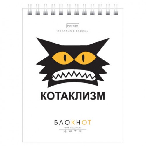 Блокнот МАЛЫЙ ФОРМАТ А6, 40 л., гребень, картон, клетка, HATBER, Муркомания, 090640, 40Б6В1гр