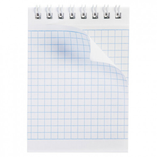 Блокнот МАЛЫЙ ФОРМАТ А7, 60 л., гребень, картон, клетка, HATBER, Утиные истории, 081168, 60Б7В1гр