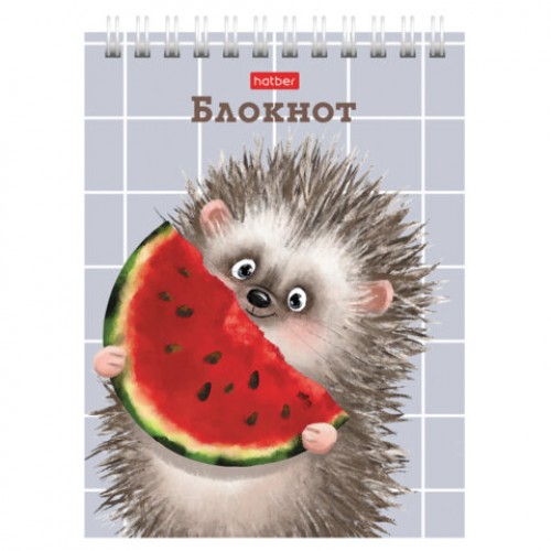 Блокнот МАЛЫЙ ФОРМАТ А6, 40 л., гребень, картон, клетка, HATBER, Хорошо быть ёжиком, 080472, 40Б6В1гр