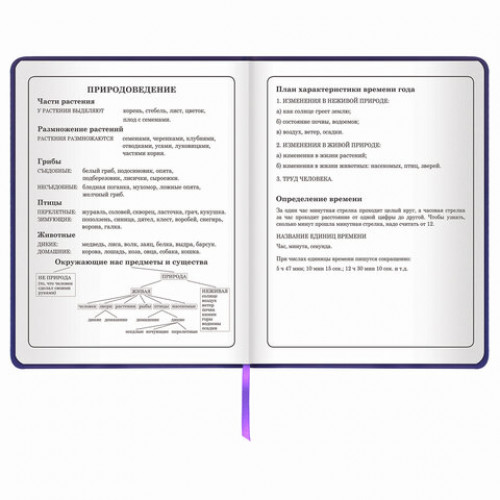 Дневник 1-4 класс 48 л., обложка кожзам (твердая), печать, аппликация, ЮНЛАНДИЯ, ФУТБОЛ, 105936