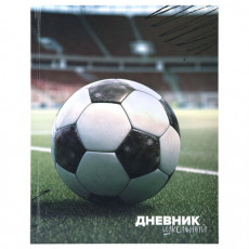 Дневник 1-4 класс 48 л., твердый, ЮНЛАНДИЯ, глянцевая ламинация, с подсказом, Футбол, 107583