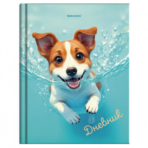 Дневник 1-4 класс 48 л., твердый, BRAUBERG, глянцевая ламинация, с подсказом, МИКС, 107587