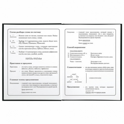 Дневник 1-4 класс 48 л., твердый, BRAUBERG, глянцевая ламинация, с подсказом, Football, 106360