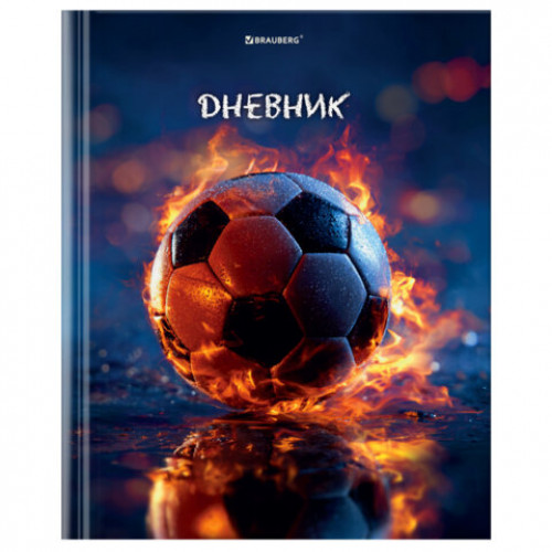 Дневник 1-4 класс 48 л., твердый, BRAUBERG, глянцевая ламинация, с подсказом, МИКС, 107587