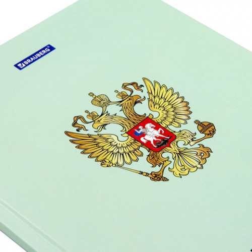 Дневник 1-4 класс 48 л., твердый, BRAUBERG, глянцевая ламинация, с подсказом, Символика, 106600