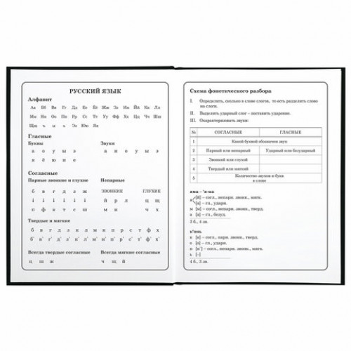 Дневник 1-4 класс 48 л., твердый, BRAUBERG, глянцевая ламинация, с подсказом, Football, 106360
