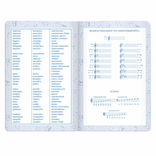 Дневник для музыкальной школы 140х210 мм, 48 л., обложка кожзам гибкая, BRAUBERG, справочный материал, синий, 105498