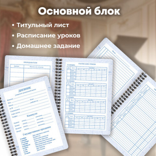 Дневник для музыкальной школы 48 листов, гребень, пластиковая обложка, картон, BRAUBERG, МИКС, 107519