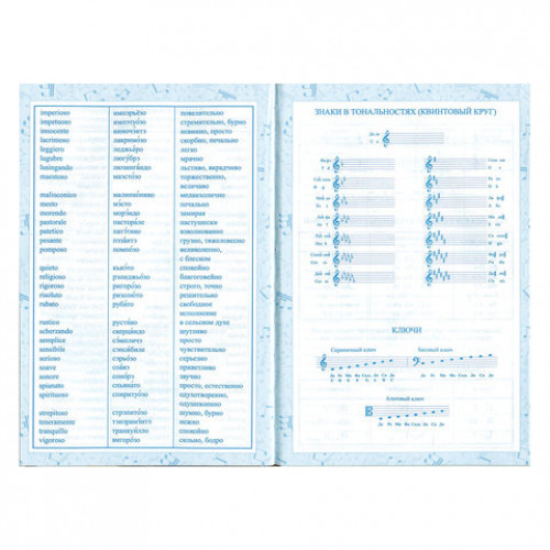 Дневник для музыкальной школы 140х210 мм, 48 л., твердый, BRAUBERG, справочный материал, Гитара, 104974