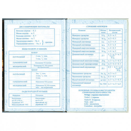 Дневник для музыкальной школы 140х210 мм, 48 л., твердый, BRAUBERG, выборочный лак, справочный материал, Симфония, 103601